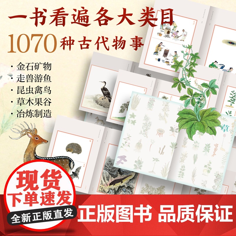 金石昆虫草木状 绝美中国博物手绘 文俶 等 著 民间艺术高清大图