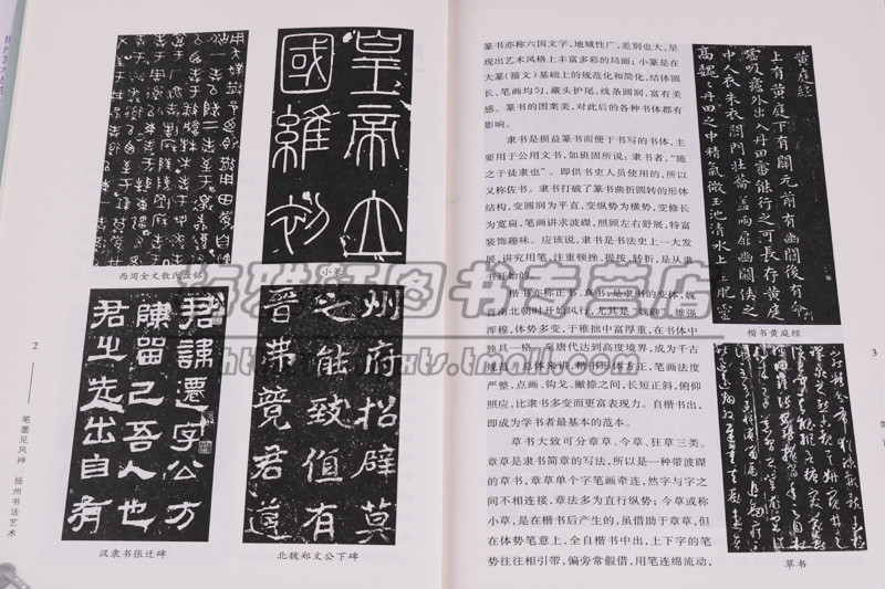 [醉染正版]扬州艺术丛书(七册) 扬州市文学书法民间工艺琴筝艺术清曲昆曲文集思想当代现代学术发展艺术形态意义清代学派名人高清大图
