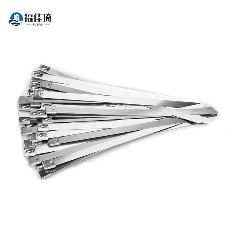福佳琦 不锈钢扎带 4.6*300mm 根高清大图