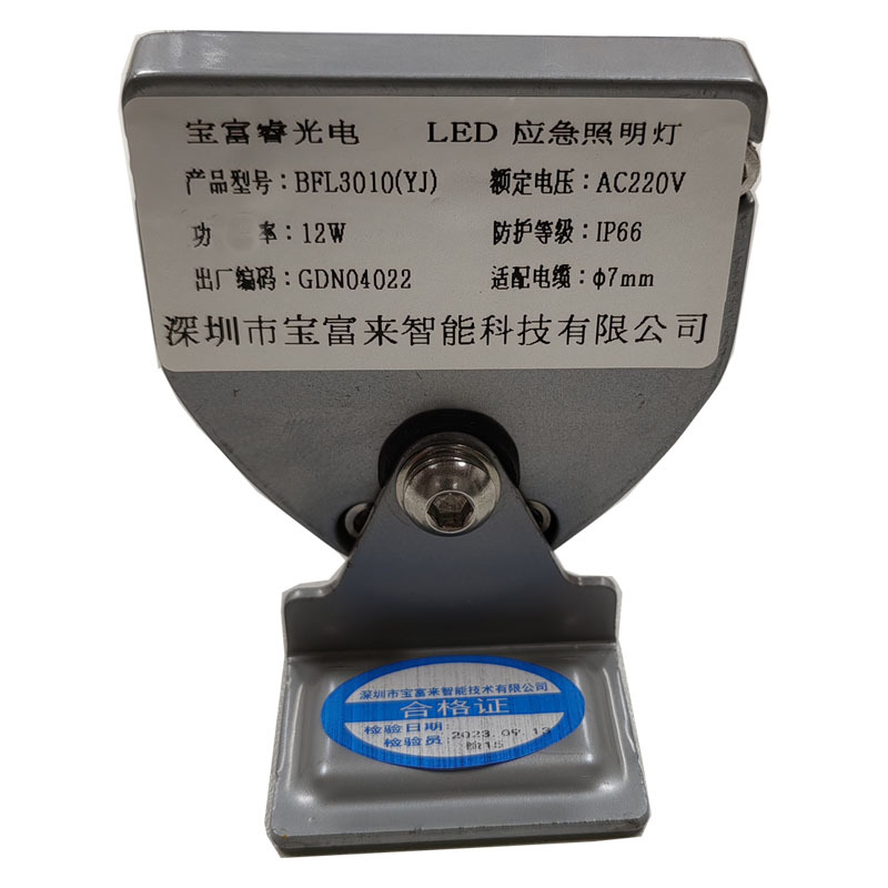 宝富睿光电 BFL3010(YJ) AC220V 12W IP66 LED应急照明灯(计量单位:套)银色