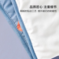 百丽丝家纺印花抗菌夏被单人双人可水洗抗菌科技夏凉被薄被子