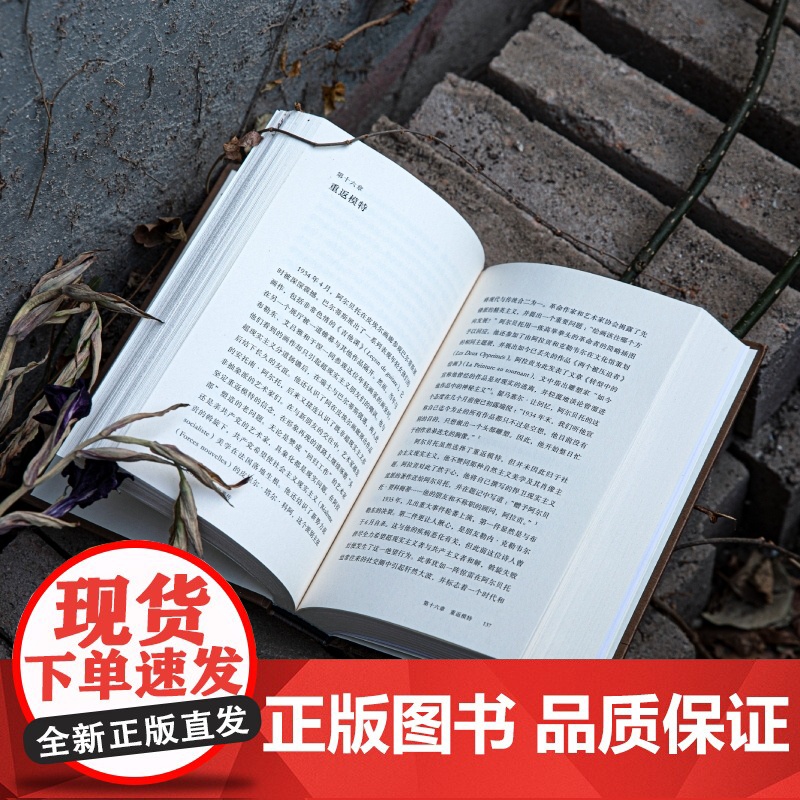 行走的人:贾科梅蒂传 艺术大师凯瑟琳·格雷尼尔著人物传记 艺术雕像 杜尚传 梵高传 艺术家传记 约翰·伯格 理想国图书店高清大图