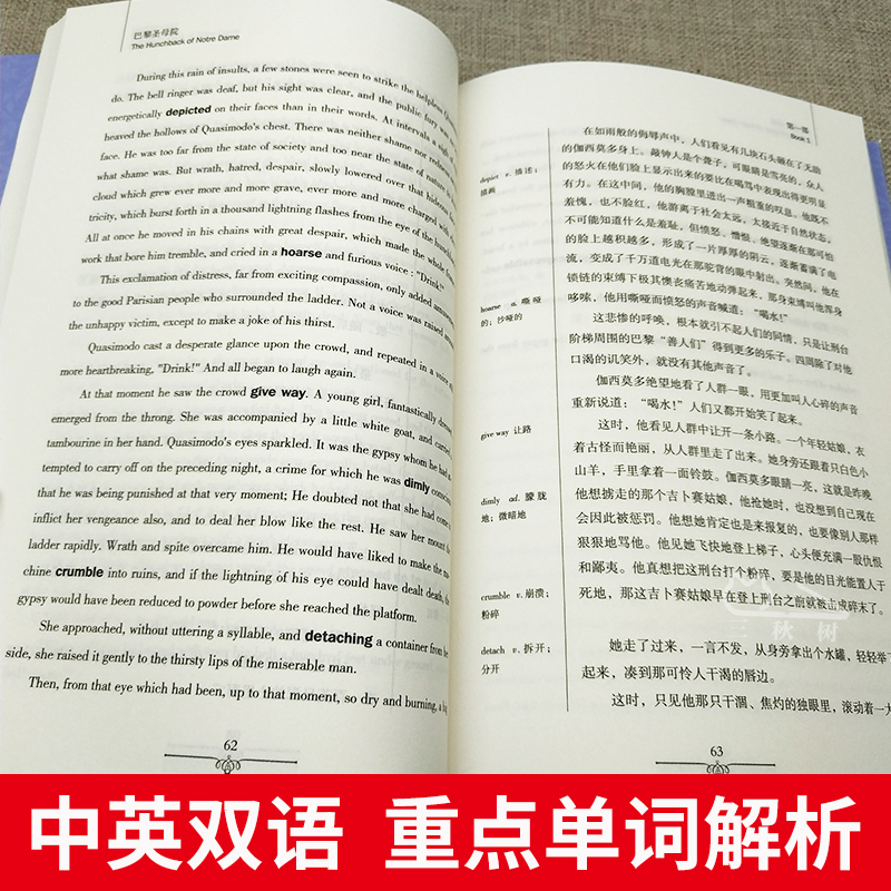 [中英互译]巴黎圣母院 [正版]巴黎圣母院中英文双语书籍名著读物英汉对照小说全套阅读 巴黎圣母院原著 读名著学英语 高初