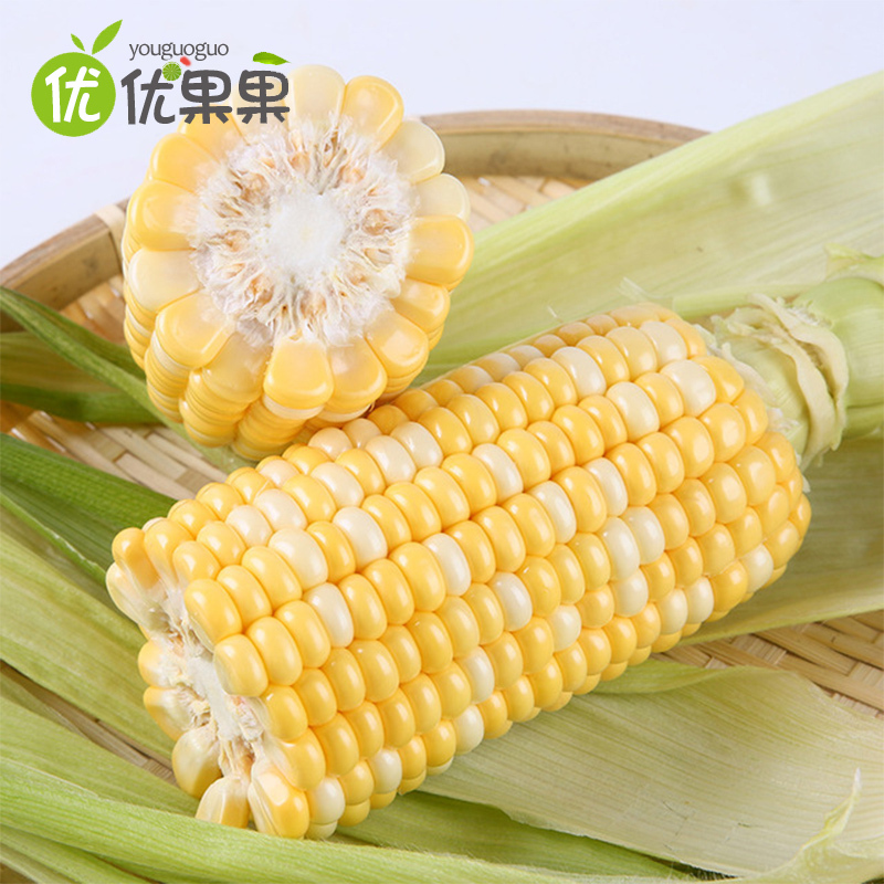 云南水果玉米4.5斤 约4-9根左右新鲜玉米鲜货蔬菜甜脆包谷鲜嫩多汁