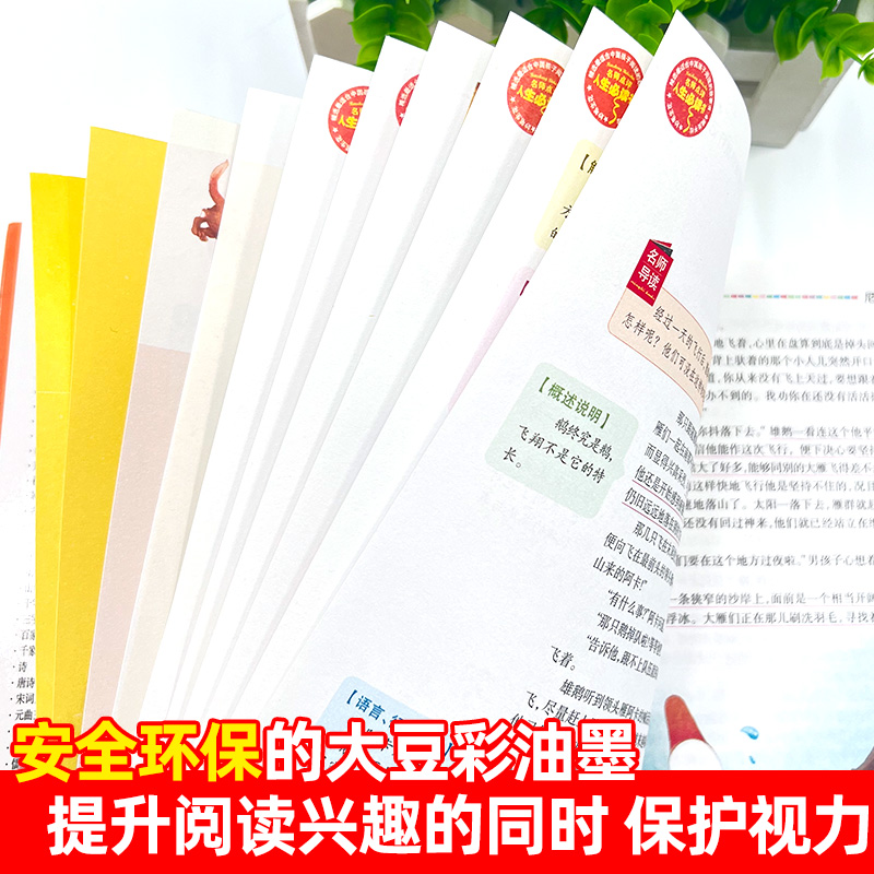 醉染图书语文课程化标准——6年级上 美绘版(全3册)9787533041564高清大图