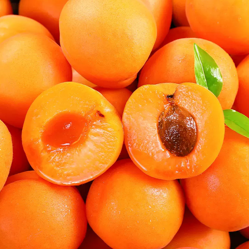[苏鲜生]陕西大黄杏子新鲜水果 3斤 当季特大巨蜜金太阳杏酸甜杏子