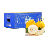 [苏鲜生]西沛国产特产 金美人蜜瓜 蜜瓜 净重4.5斤 香甜可口 新鲜水果应季金美人 西沛