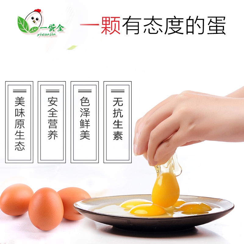 一蛋金-富硒蛋60枚装无抗/无激素/无重金属/全民营养健康鸡蛋