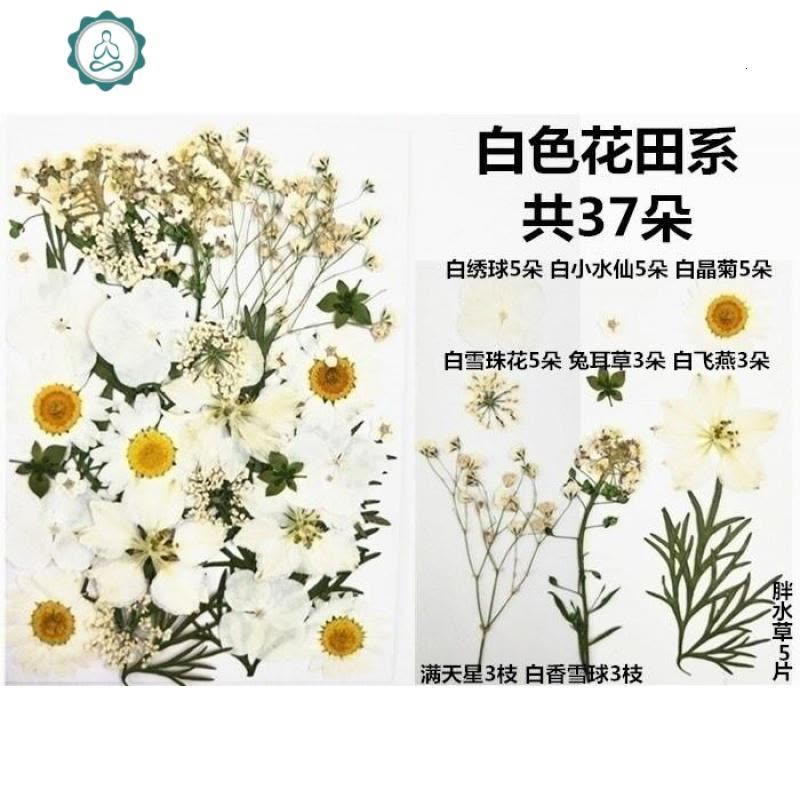 婚纱儿童干花贴脸花瓣妆妆容脸部饰绿叶花朵贴画lolita干花妆妆面 封后 白色花田系 干花包图片