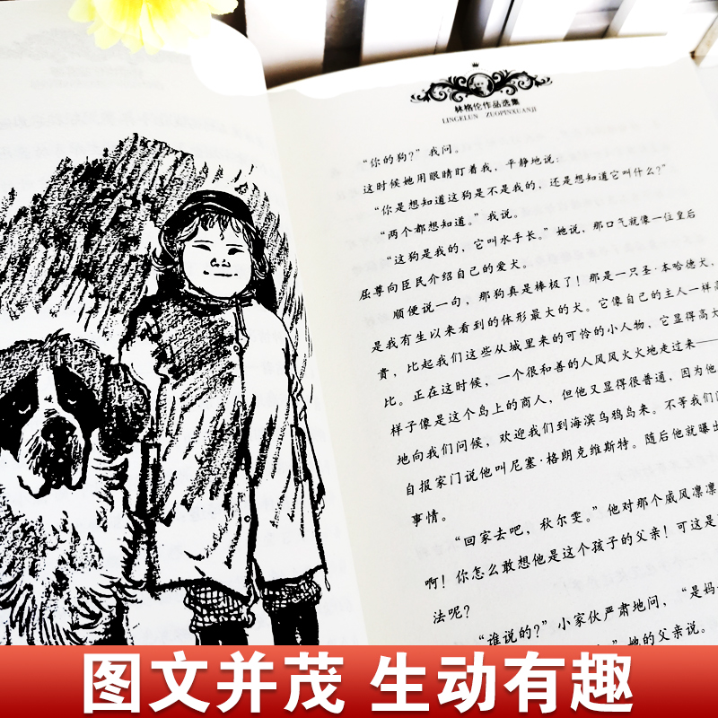 海滨乌鸦岛 [正版]新版林格伦作品选集·美绘版 海滨乌鸦岛 美绘版中小学生语文阅读外国儿童文学小说课外读物国际安徒生奖三高清大图