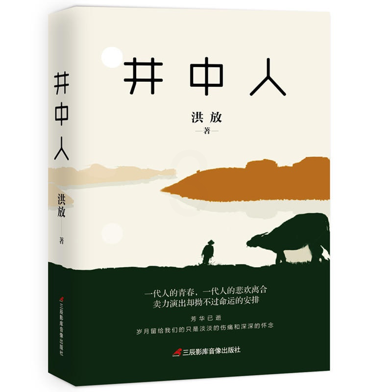 [正版]井中人 洪放 (随书书签)归宿与生存价值民国到近现代历史小说青春与成长期一个时代的结束是另一个时代的开端小说书高清大图