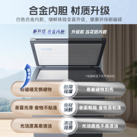 澳柯玛(AUCMA) 200升家用卧式冷柜冰柜小冰箱 阻霜减霜 合金内胆 无界天际线 BC/BD-200HSNE