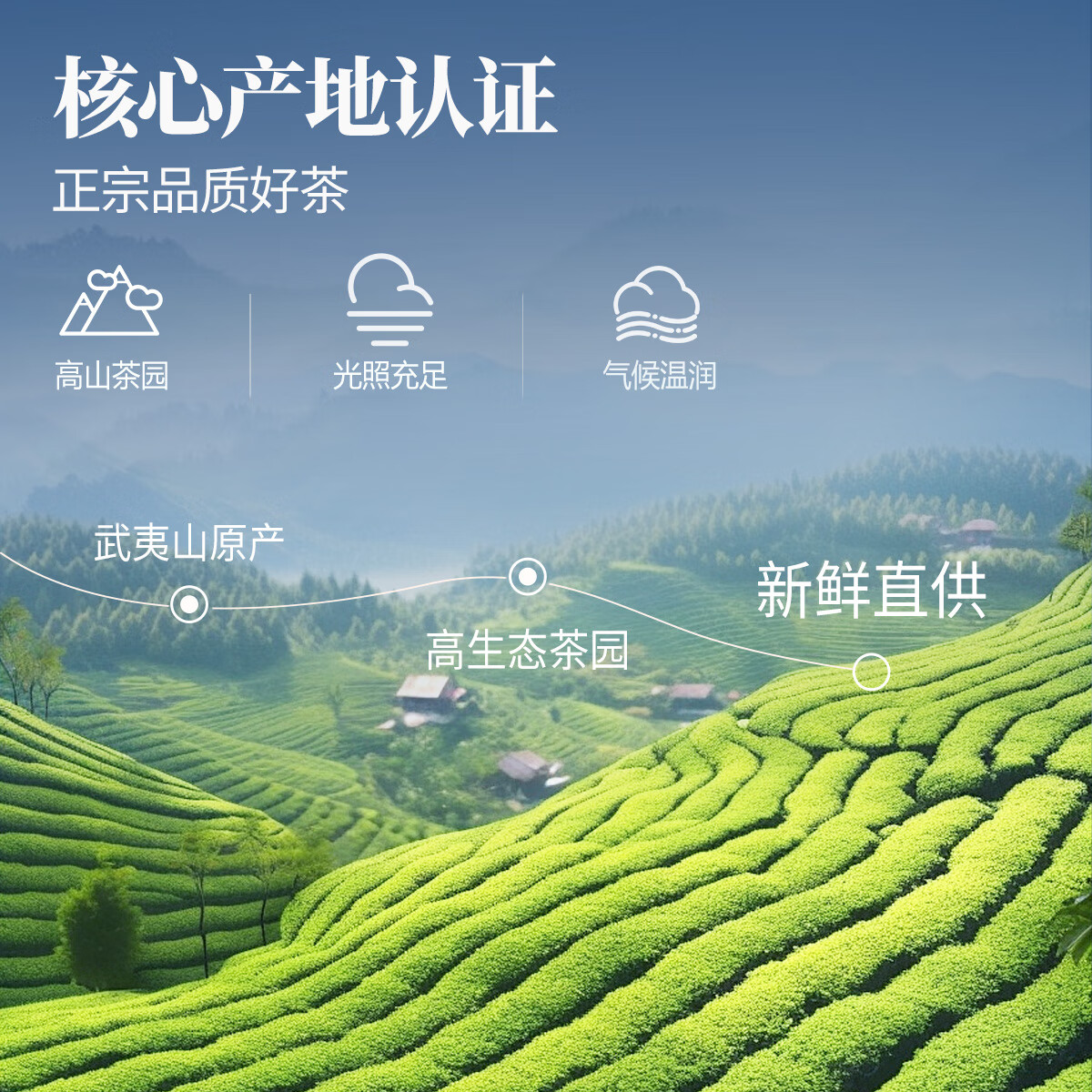 忆江南 金骏眉茶叶礼盒送人210g红茶武夷山送礼送父母长辈礼物荷韵[210g荷韵金骏眉]高清大图