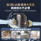 沁园家用前置过滤器 8吨/小时大流量 全屋家用净水器P-A5510