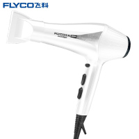 飞科（FLYCO）电吹风FH6102 吹风机2200w大功率吹风筒发廊家用理发店负离子不伤发冷热风卷发美发非静音风嘴学生