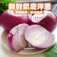 五个农民新鲜紫皮洋葱9斤大果新鲜小洋葱洋葱头现挖蔬菜当季蔬菜红皮特产应季自营生鲜农家自种现挖