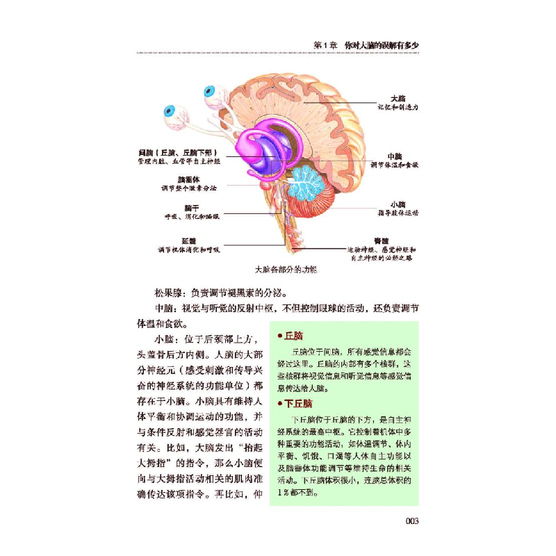 正版新书]吃出聪明大脑褚四红主编9787515222905高清大图