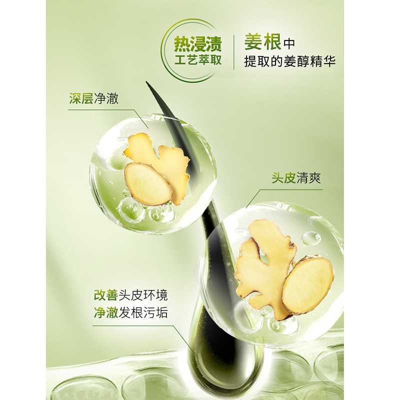 施华蔻 生姜精华洗发露控油型600ml高清大图