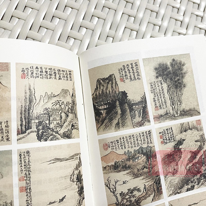 [正版]江花随我开:石涛绘画的“躁” 了解中国古代文人画读物 朱良志著 中国画美术理论评论艺术历史绘画解析注释文学鉴赏高清大图