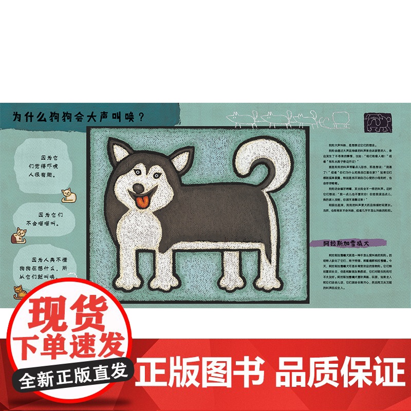 为什么狗狗这么忠诚 魔法象 图画书国 趣味轻科普图画书 斯洛文尼亚国*级图画书作家莉娜布拉普系列代表作 绘本图画书 广高清大图