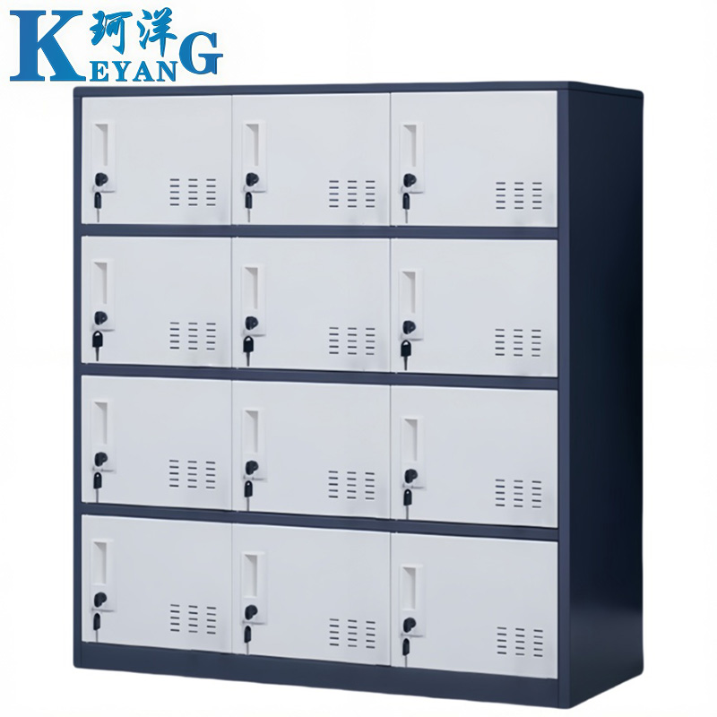 珂洋 存包柜 十二门(灰白套色) 台高清大图