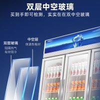 星星(XINGX)LSC-1218Y 1200升商用展示柜 立式对开门冷藏柜 商用大容量冰柜 冰箱 保鲜柜 三门饮料柜