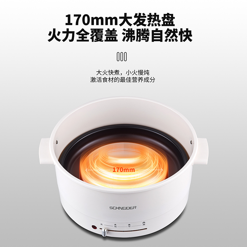 SCHNEIDER施耐德电火锅-SWK-XNL17高清大图