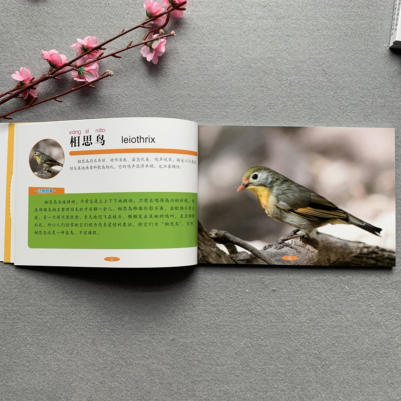 [正版]4册宝宝可爱早教书认动物交通工具水果蔬菜认日常用品启蒙翻翻书 0-1-2-3岁婴儿大图大字绘本 幼儿书籍看图认