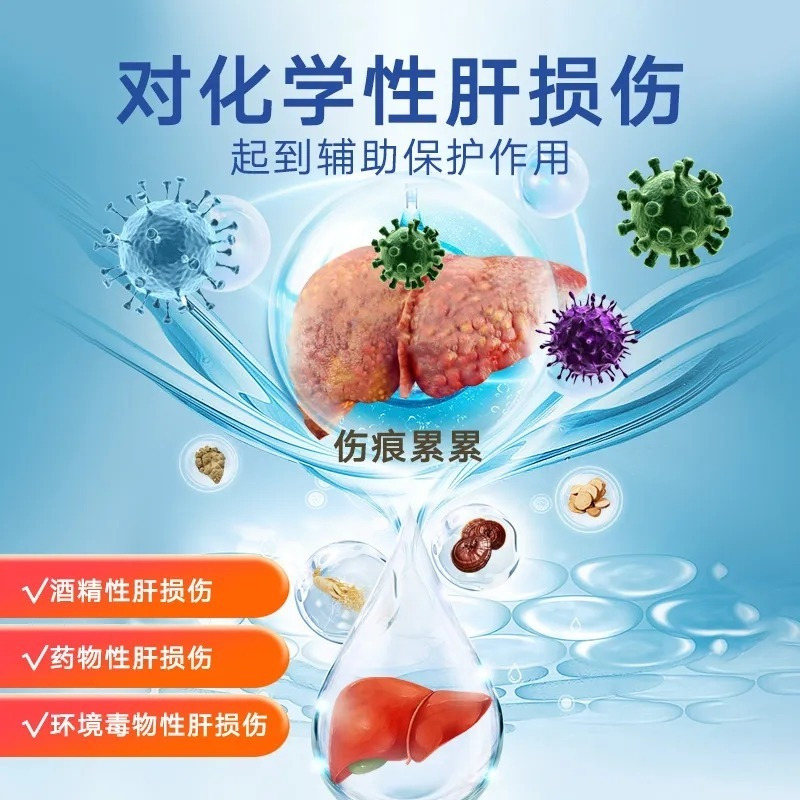 北京同仁堂绞股蓝丹参葛根胶囊护肝养肝官方正品旗舰店高清大图