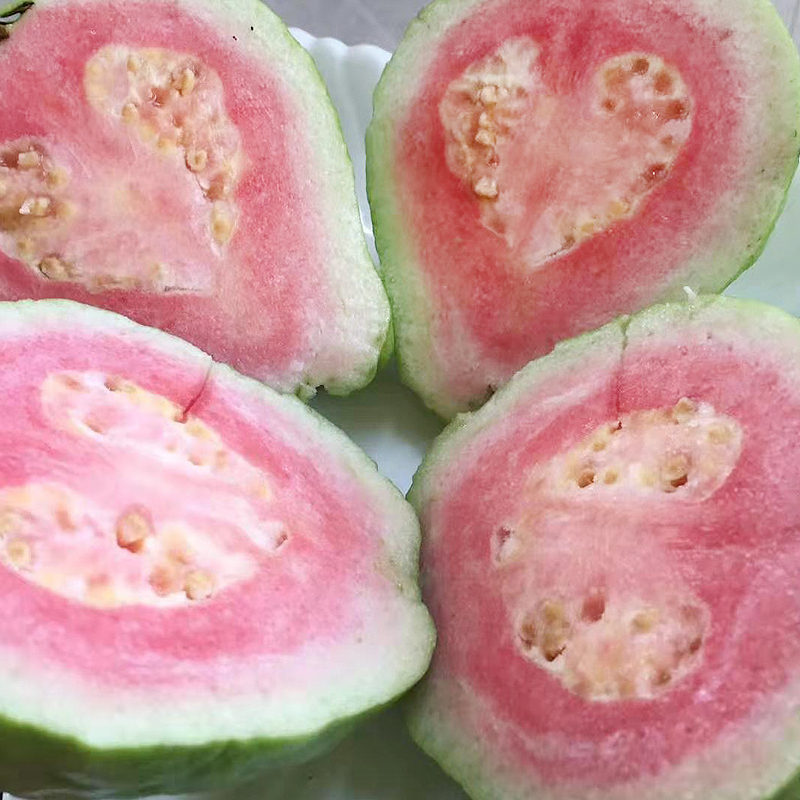 鲜贝达 红心芭乐5斤装[单果120g以上]新鲜水果番石榴热带水果甘甜多汁高清大图