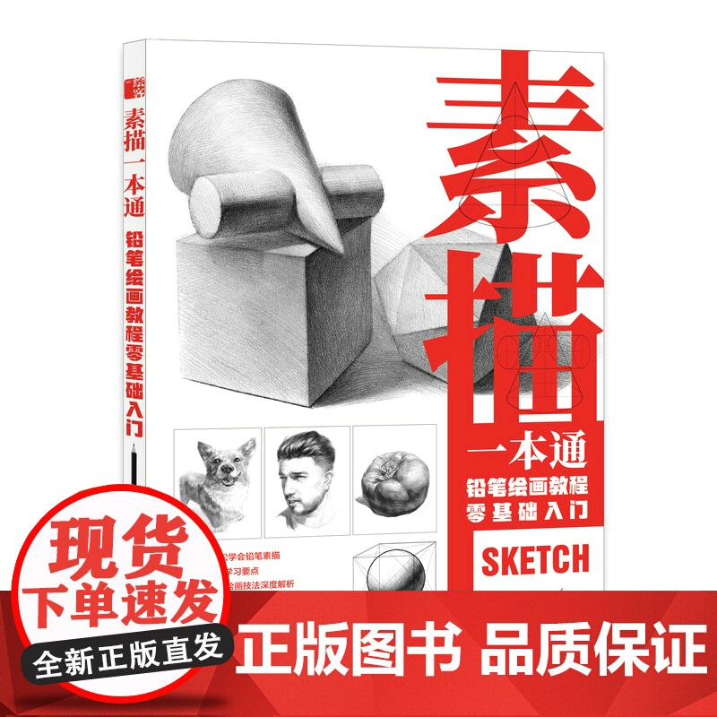素描一本通 铅笔绘画教程零基础入门 素描基础教程书学素描技法石膏几何静物人物素描临摹画册铅笔速写初学者手绘教材高清大图