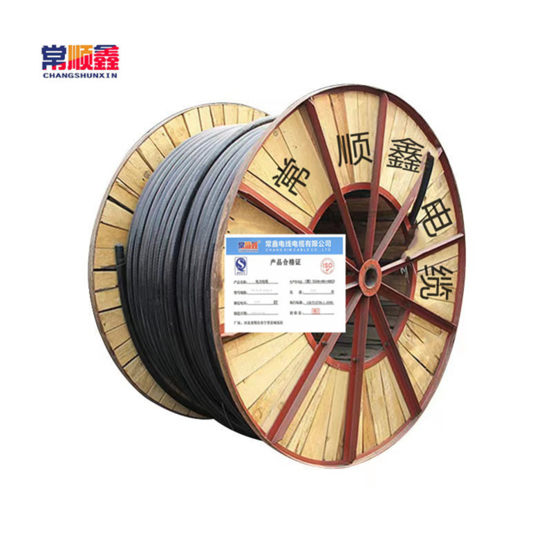常顺鑫 低压铝芯电缆ZC-YJLV22 3×10+1×6 米