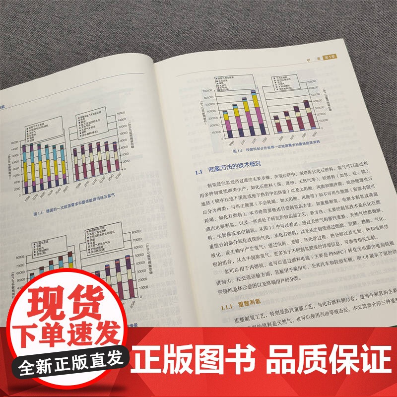 水电解制氢 阿加塔 戈杜拉 乔佩克 燃料电池 燃料电池汽车 氢能 制氢 9787111750482 机械高清大图
