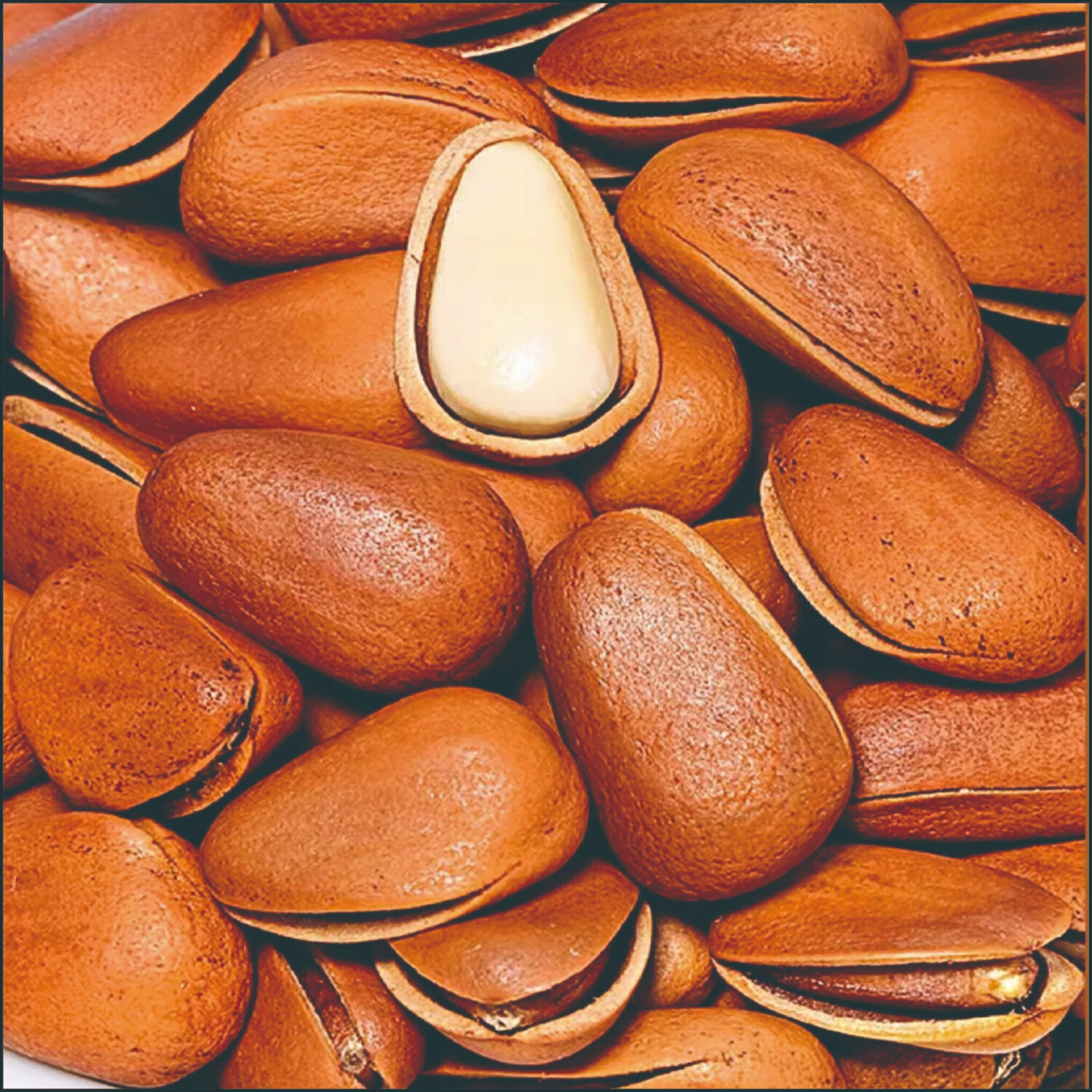 艾提尕松子250g/袋高清大图