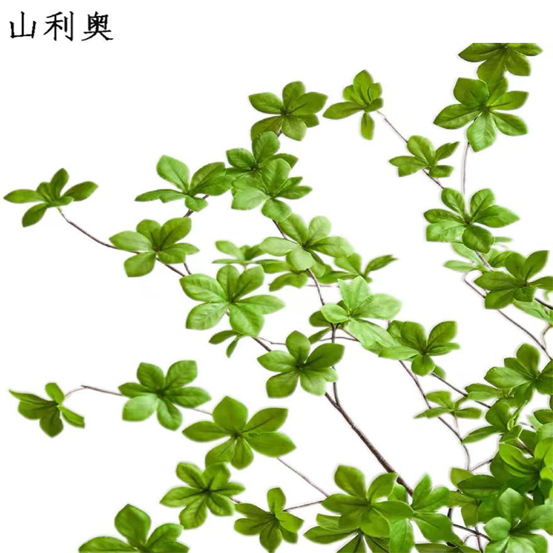 山利奥 餐桌摆件 SLA-342/瓶高清大图