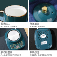 养生壶全自动家用法耐(FANAI)多功能办公室mini小型煮茶器迷你加热水壶煮花茶 0.5L白色杯+0.6L玻璃杯+底座