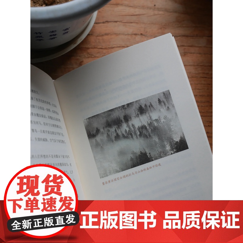正版书籍 大自然的文字 名著阅读力养成丛书 中小学生课外阅读 9-10-11-12岁成长文学作品 中小学生课外阅读 儿童高清大图