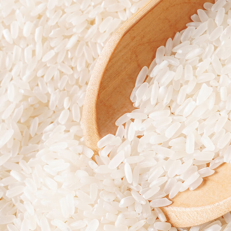 邻家饭香 五常香米 5kg/袋 寒地黑土 鸭稻共生 一年一季LJFX86高清大图