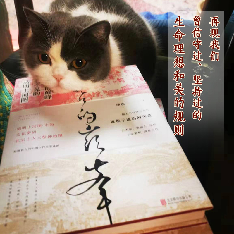 [正版] 入世的巅峰 看不见的清明上河图 艺术家策展人郑轶著十年累积诚意之作 一本古代美学通识 古画版美的历程 文学散文高清大图