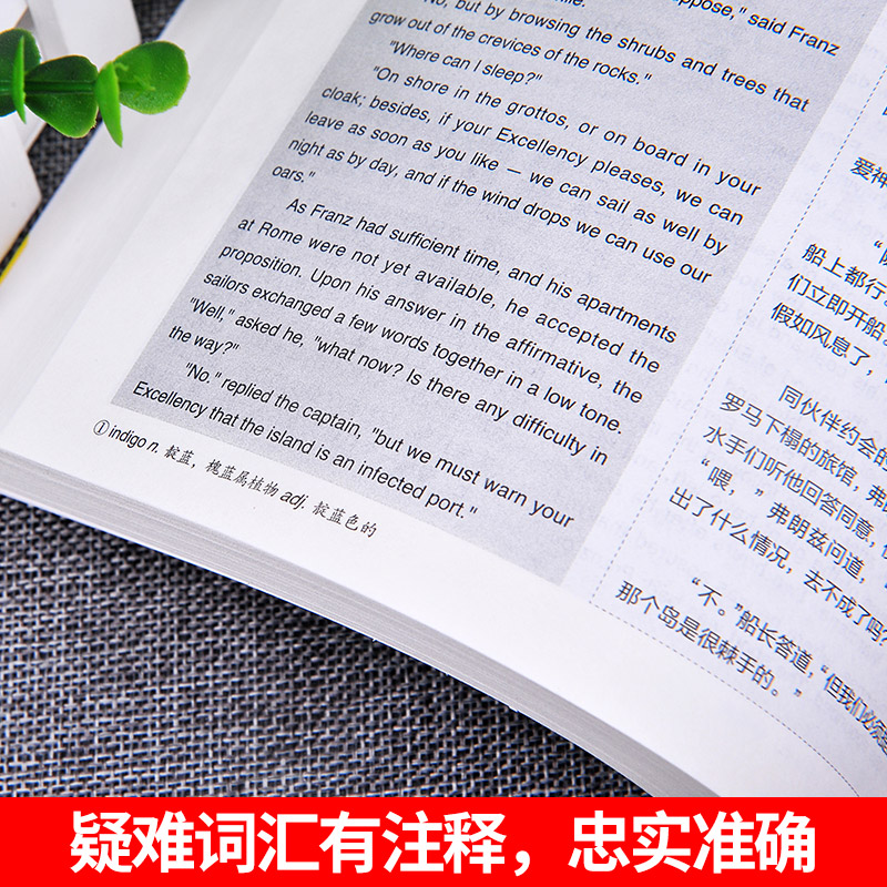 [醉染正版]新版本 基督山伯爵上下册双语版书籍 中英英汉对照中英文双语世界名著中文版英文版读名著学英语英语英语大书虫世界高清大图
