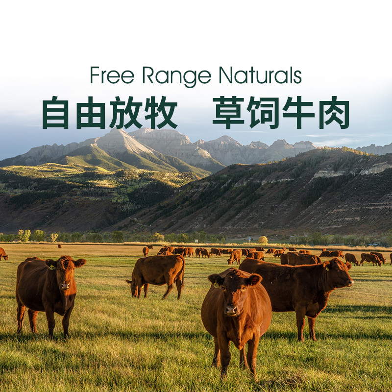 ZEAL全价软犬粮含牛肉配方3kg