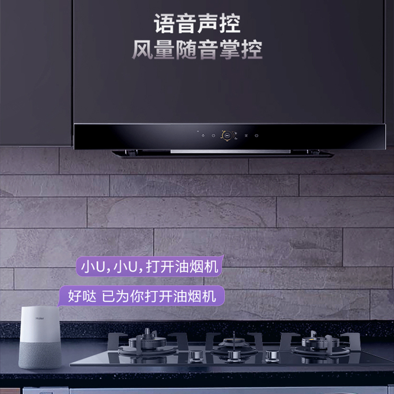 海尔/卡萨帝(Casarte)美食家系列欧式抽油烟机CXW-219-CT18EGU1 智慧12方 烟灶联动技术 深腔直吸