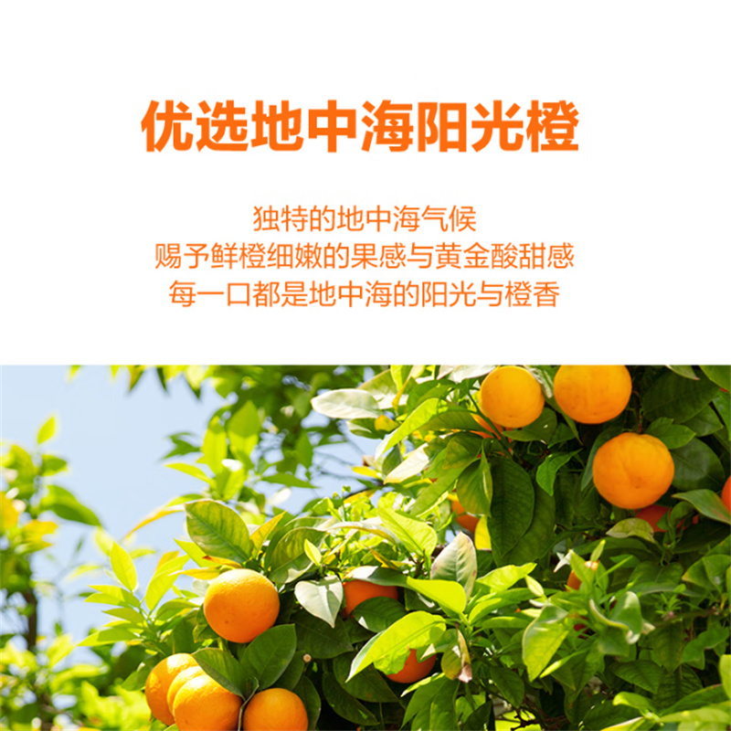 佳果源 100%橙汁 200ml*24瓶高清大图