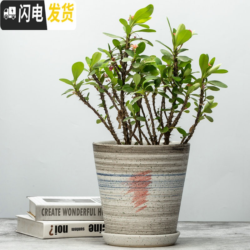 三维工匠花盆菊花盆栽盆多肉花盆陶透气花盆创意花盆陶瓷绿萝盆花盆兰花盆 浅蓝色尖脚淡蓝 外直径[约18.5cm]花盆容器