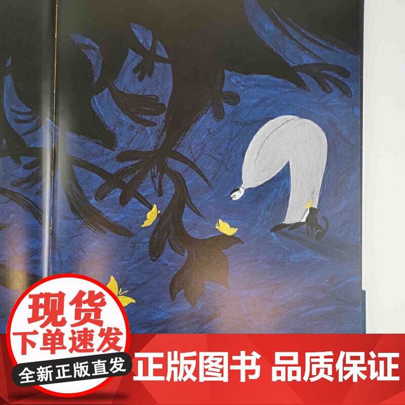 宇宙的衣裳(魔法象·图画书王国)高清大图