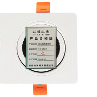 以雅以南 双头高亮款射灯SD-250W/个