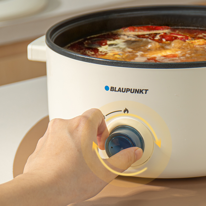 蓝宝(BLAUPUNKT) 多功能电煮锅BP -DZG20高清大图