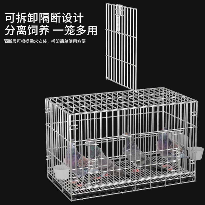 35*25*30粪盘 鸽子笼养殖笼大室外鸽子笼大号家用折叠带隔断鸽笼配对