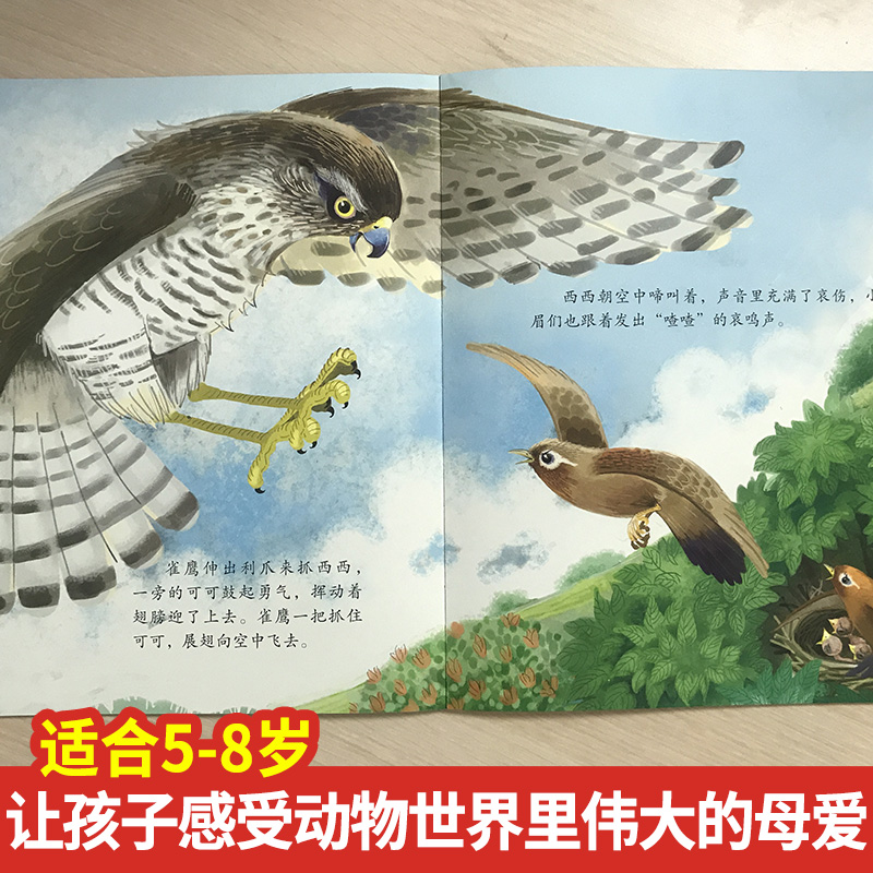 妈妈一直都在 [正版]妈妈一直都在 蒲公英动物绘本系列 沈石溪动物小说单本儿童书籍6-8岁亲子共读母爱亲情故事早教启蒙读高清大图