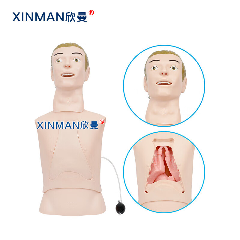欣曼科教 高级鼻胃管与气管护理模型 鼻饲模型 鼻胃插管模拟人XM-BWG高清大图